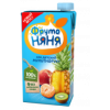 Сок ФрутоНяня мультифруктовый 05л